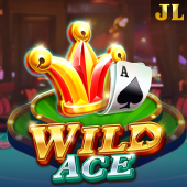 Wild Ace on 390009 games